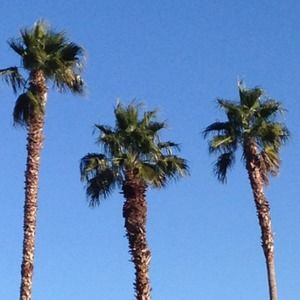 Meet your Posher, Summer e.